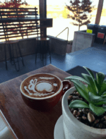 The Explo Café - Image 3