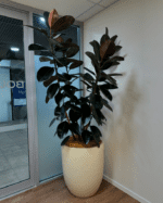 Northern Rivers Plant Hire - Image 4