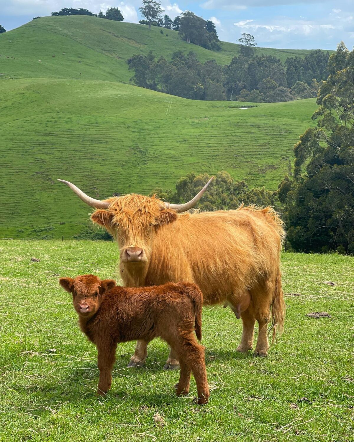 Canaan Ranch - Image 3