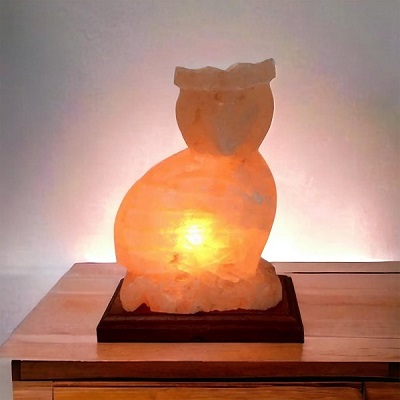 Salt Lamp - Owl