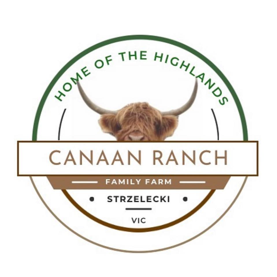 289699146_107143048706590_5249105923153397591_n