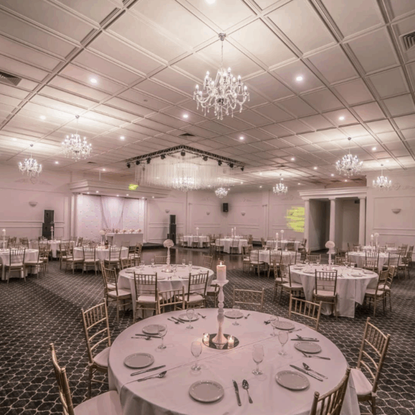 Aries Reception - Image 4