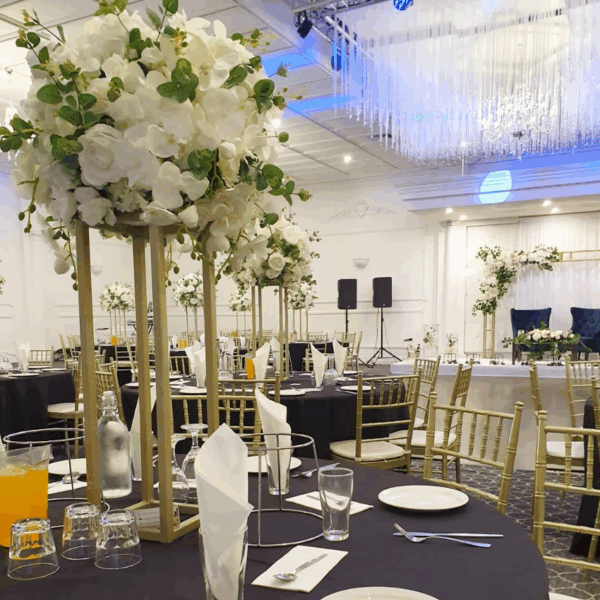 Aries Reception - Image 3
