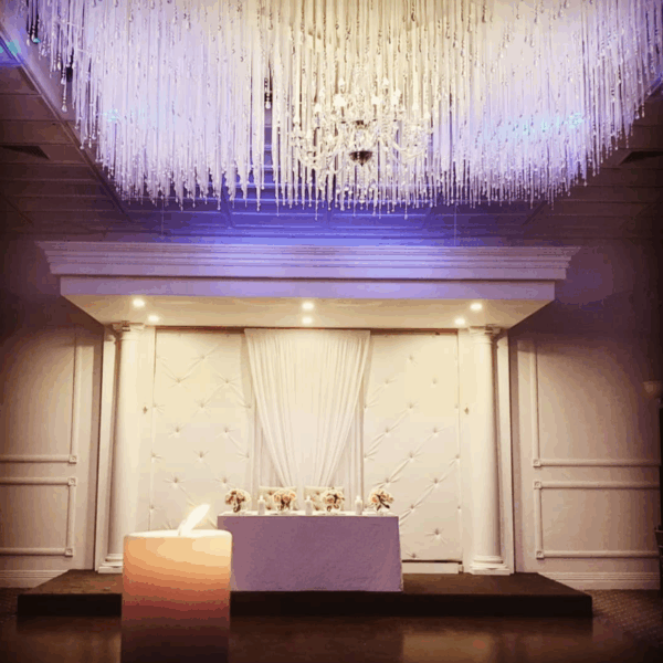 Aries Reception - Image 2